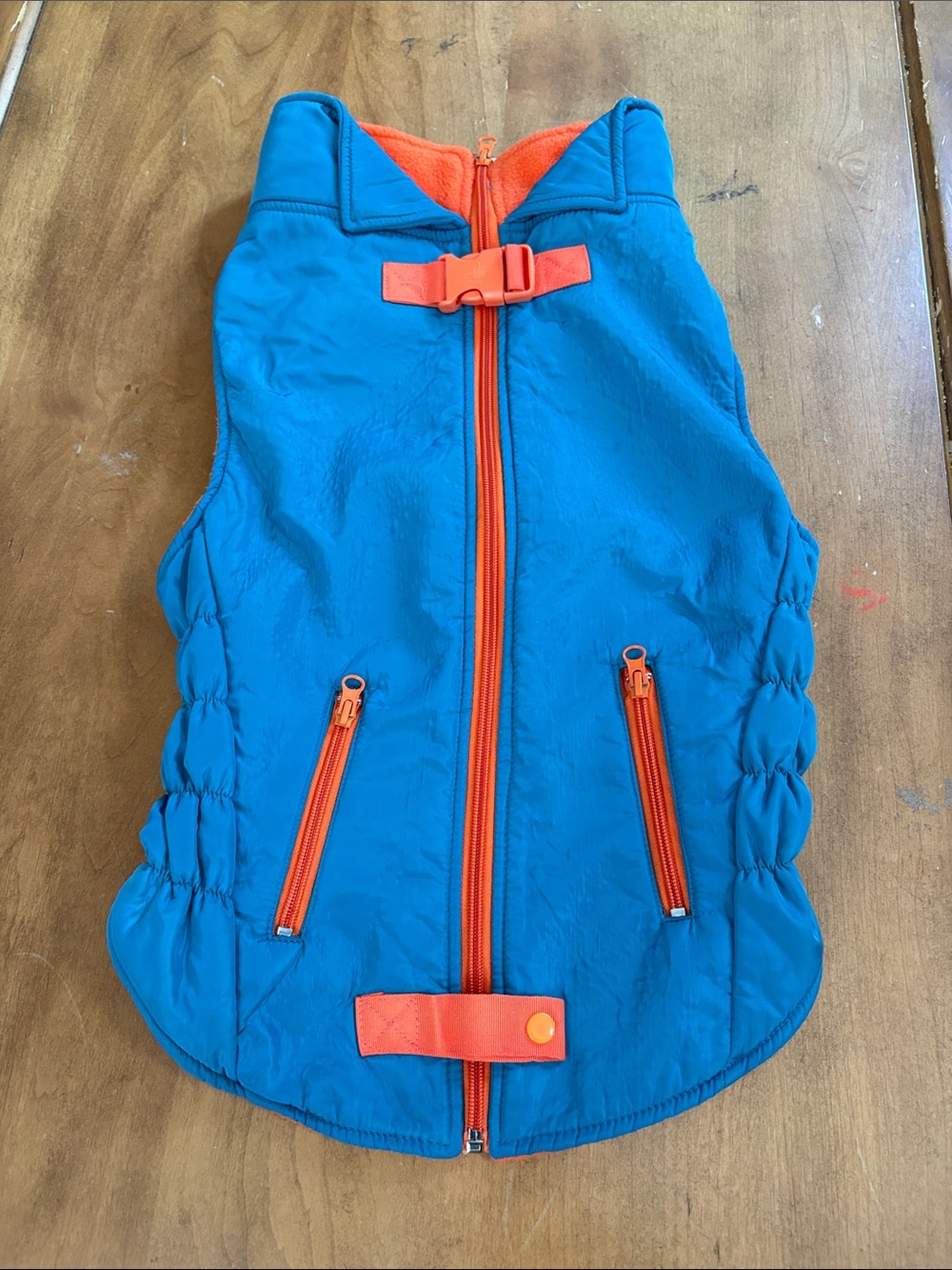 Good2Go Blue Vest with Orange Trim for dogs